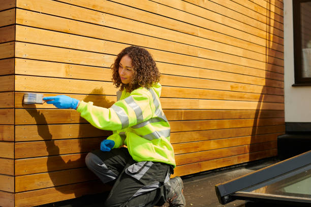 Best Storm Damage Siding Repair  in Berly, MO